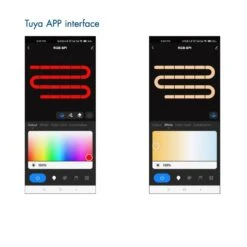 Skydance Digital Pixel RGB Controller 5-24VDC WiFi & RF RGB/RGBW SPI LED Controller WT-SPI (Tuya App) WS2811 With Remote -Atom Led digitalpixelrgbstripcontroller 3