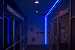 Blue LED Neon Flex AC 220V 240V 8x16mm 120LEDs/m IP65 Waterproof With UK Plug -Atom Led nf b30 illuminating office entrance inside 1a8b9b2d e28a 4505 908d 383110f63b08